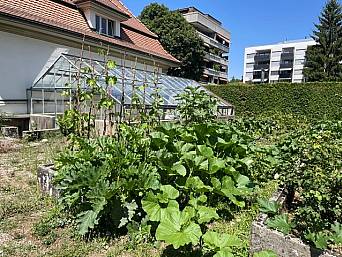 Gemeinschaftsgarten