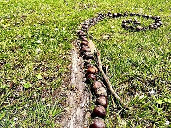 Landart-Tag des gestalterischen Vorkurses von Sofie Hänni
